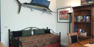 78870 Citrus Gallery 27