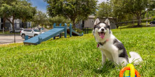 Elevate 155 Gallery 24