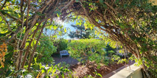 Charming three-bedroom, two-bath home in Midtown Palo Alto. Gallery 25