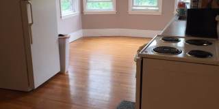 NIce 3 bed in Brookline Gallery 14