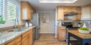 1173 Capri Drive Gallery 35