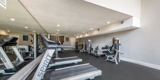 Alister Apartments Gallery 15