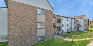 ReNew Woodland North and South Gallery 54