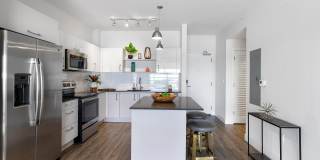 Motion at Dadeland Gallery 46