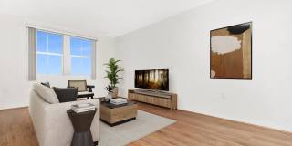 Vineyards Gallery 149