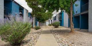 Canyon Crest Gallery 20