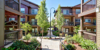 Sunset Crossing Gallery 1