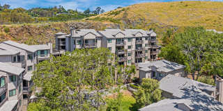 Larkspur Courts Gallery 26