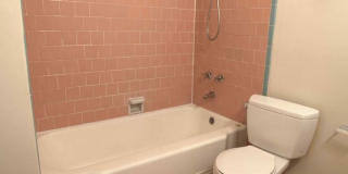 Beautiful, spacious 1-bdr with new windows, great wood floors, and lots of storage space Gallery 13