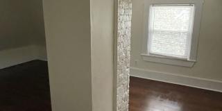 41 Clarendon St Gallery 5