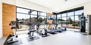 Green Leaf Shoreline Gallery 1