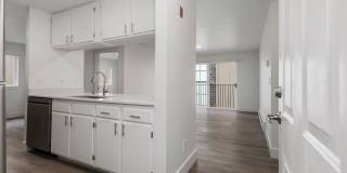 Shoreline WC LLC Gallery 49