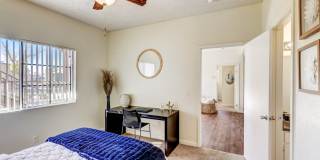 Desert Ridge Gallery 15