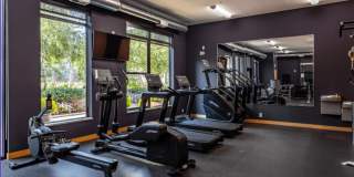 The Murals of LynLake Gallery 12