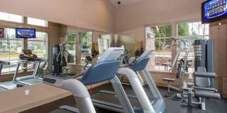 Kitts Corner Gallery 9