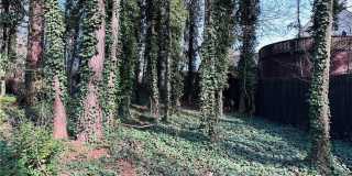 1140 Taylor Oaks Drive Gallery 30