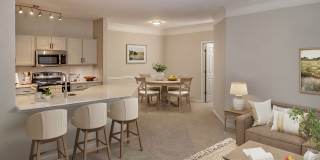 The Columns at Hiram Gallery 11