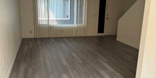 1247we Gallery 3