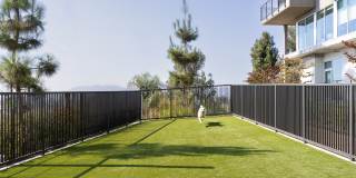 Silva Los Angeles Gallery 21