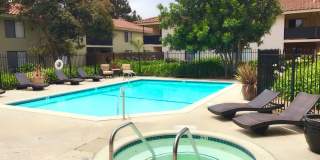 Bay Laurel Gallery 26