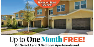 Cape Morris Cove Gallery 1