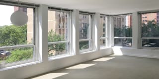 Regents Park Gallery 46