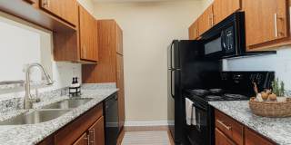 Pirates Landing Gallery 7