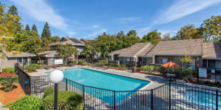 Monte Vista Apartments Gallery 13