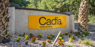 Cadia Myrtle Landing Gallery 51