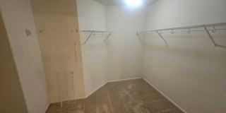 Amazing Home in NE Fort Collins Gallery 12