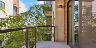 Scottsdale on Main Gallery 85