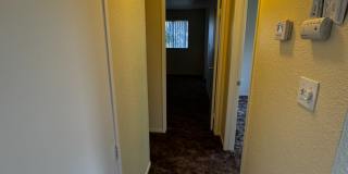 2745 Canyon Creek Dr Gallery 8