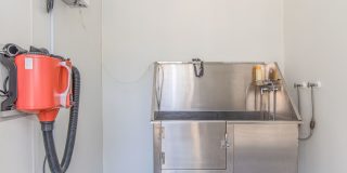 Trails Bend Gallery 12