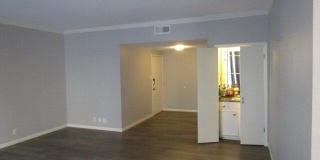 3678 Hidden Gallery 3