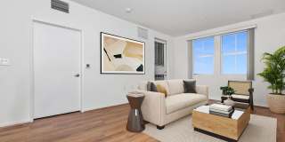 Vineyards Gallery 150