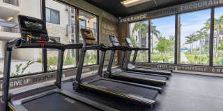 Harbor Grove Gallery 29