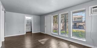 Sugar Pine Gallery 1