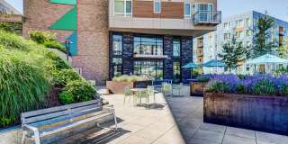 Parkside Esterra Gallery 23