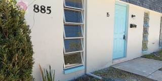 Lovely renovated one-bedroom villa-style apartment near downtown Dunedin Gallery 1
