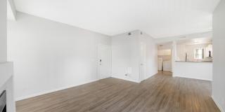 Bristle Pointe Gallery 14