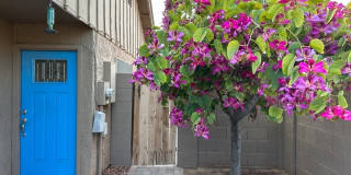 1418 East El Parque Drive Gallery 1