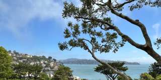 Stunning Sausalito Retreat with Bay Views & Private Meadow Gallery 7