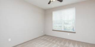 RIZE at Winter Springs Gallery 63