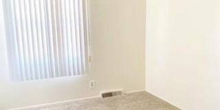 145 Miracle Drive Gallery 12