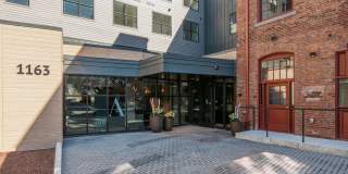 The Artemis at Arlington Heights Gallery 22