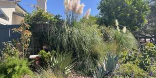 2418 Manet Lane Gallery 1