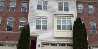 9946 VEILED DAWN Gallery 1