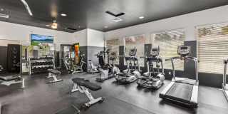 Mountain Trail Gallery 8