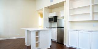 245 Losoya Gallery 19