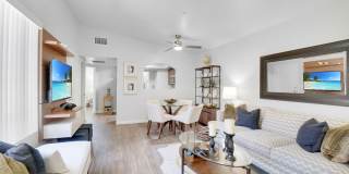 La Serena at the Parque Gallery 7